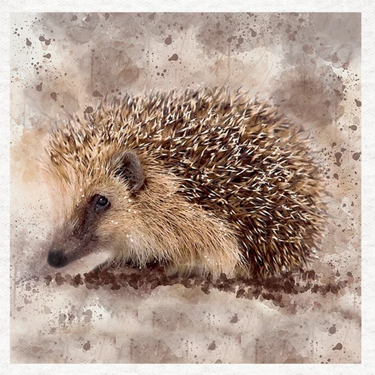 Animal-European Hedgehog - Fabric Craft Panels in 100% Cotton or Polyester