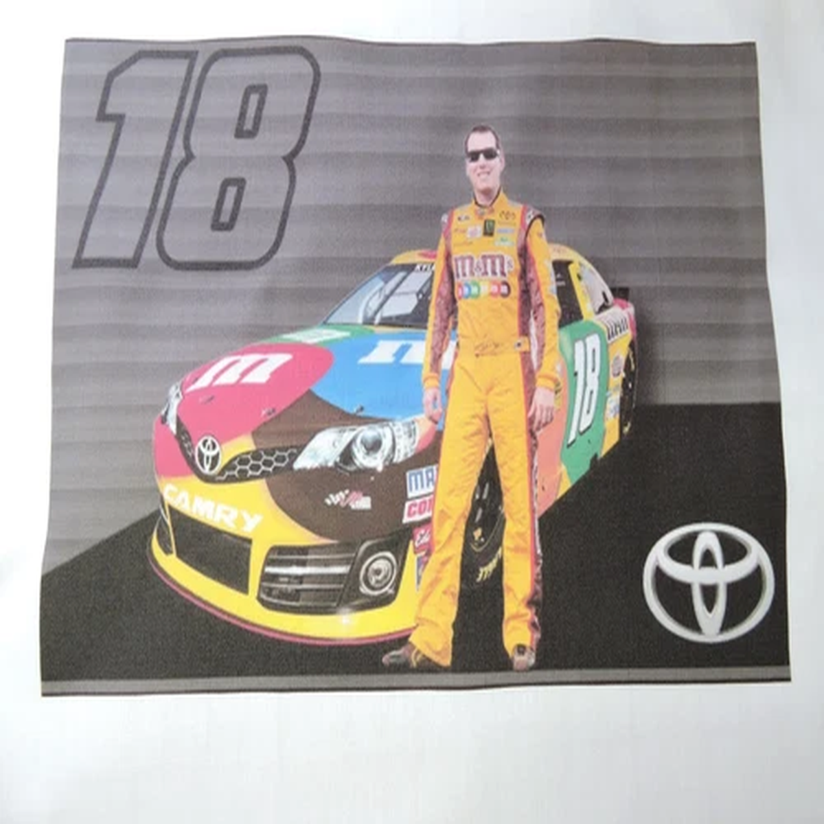 1 NASCAR KYLE BUSCH RACING QUILT BLOCK # 18 M&M STOCKCAR FABARIC MATERIAL