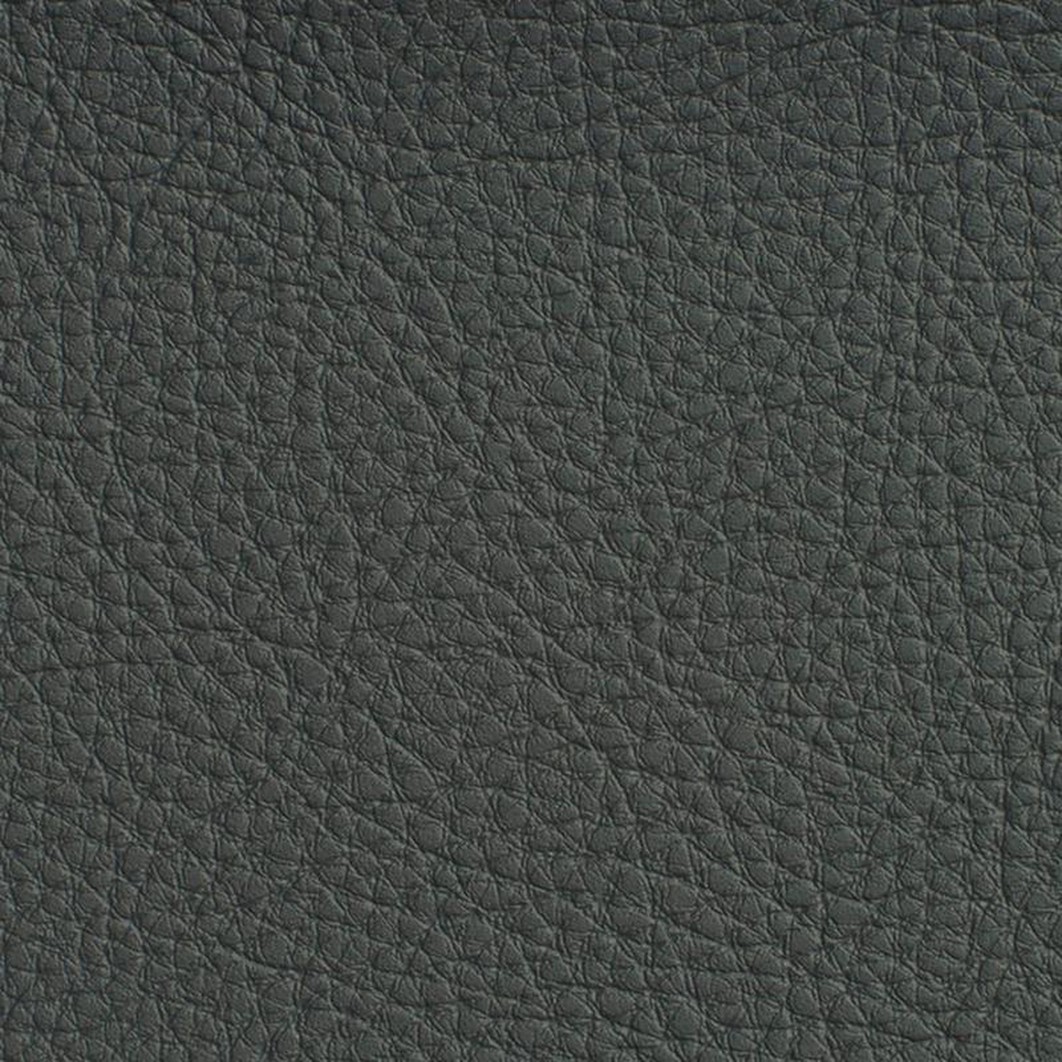 7188 Coal by Charlotte Fabric