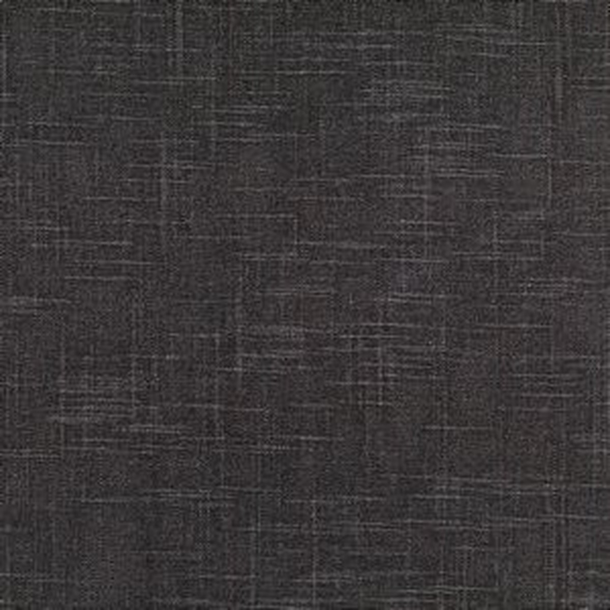 Zipper Platinum by Norbar Fabric