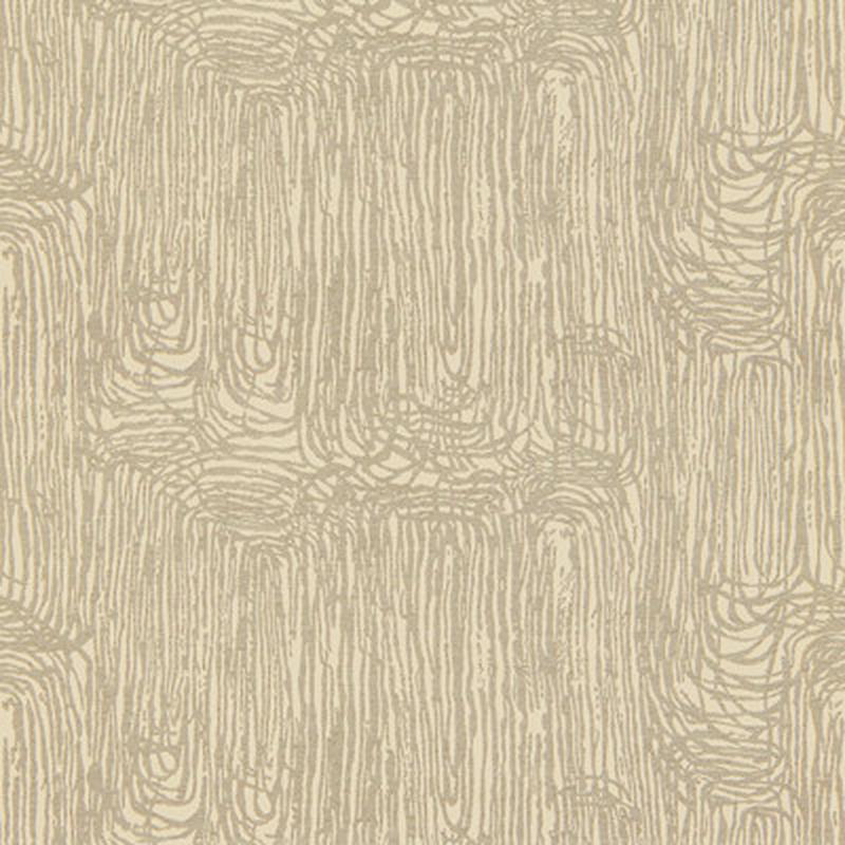 Zuma Dove by Groundworks Fabric