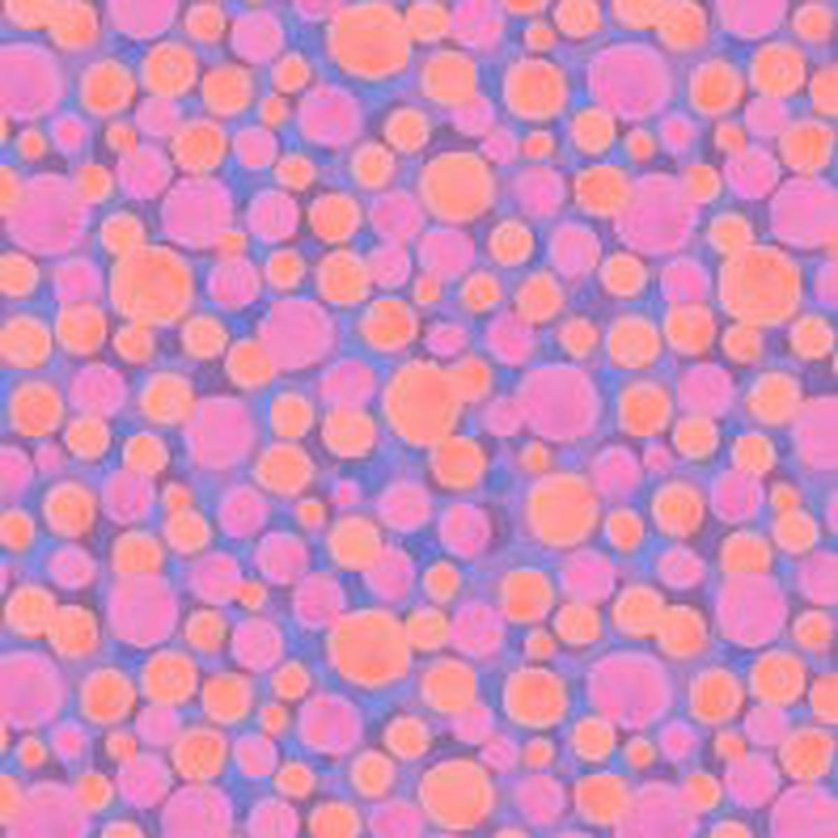 Bumbleberries D#BB C#146 | Lewis & Irene - 1/2 metre